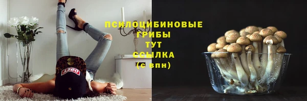 Альфа ПВП Пестово