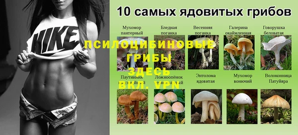 мет Абаза